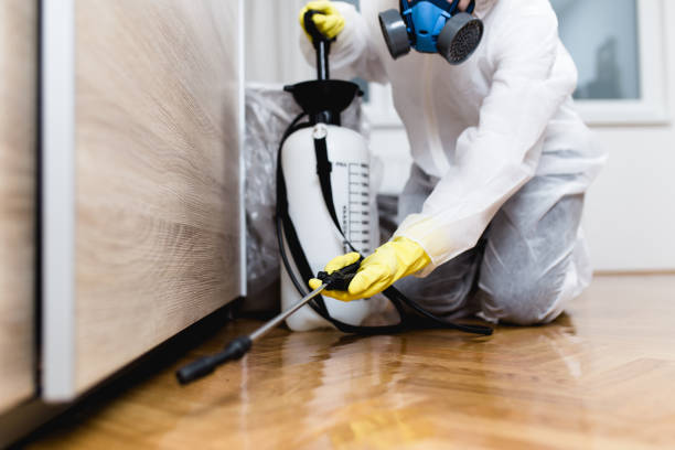 Best Affordable Pest Control Services  in Laughlin, NV