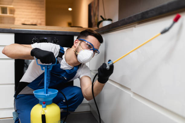 Best Best Pest Control Companies  in Laughlin, NV