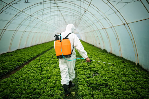 Professional Pest Control in Laughlin, NV