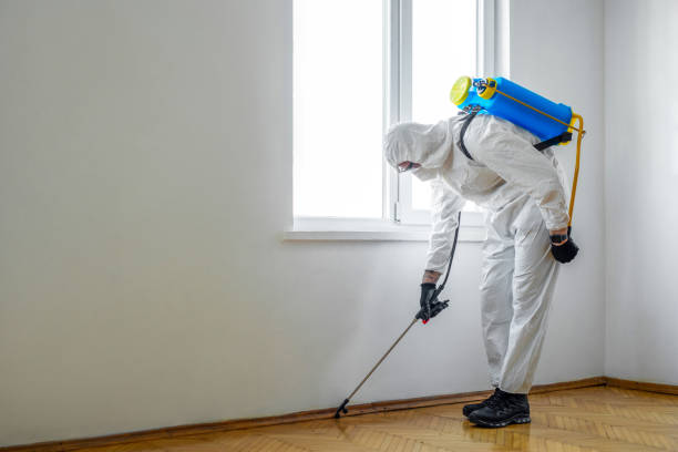 Best Rat Extermination Near Me  in Laughlin, NV