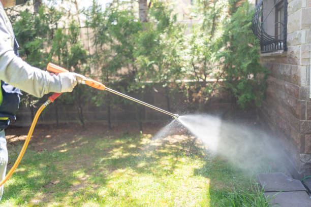 Best Insect Control  in Laughlin, NV