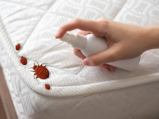 Best Commercial Pest Control Services  in Laughlin, NV