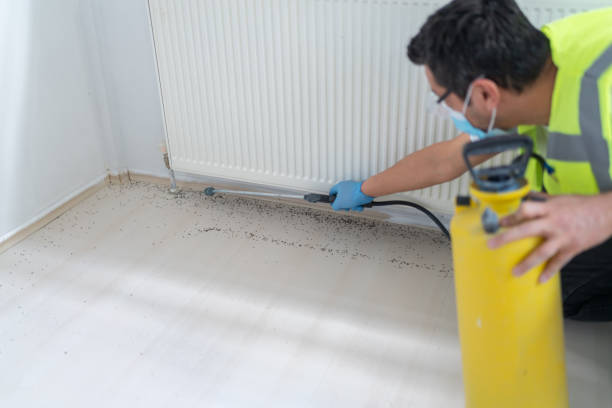 Best Exterminator Services  in Laughlin, NV